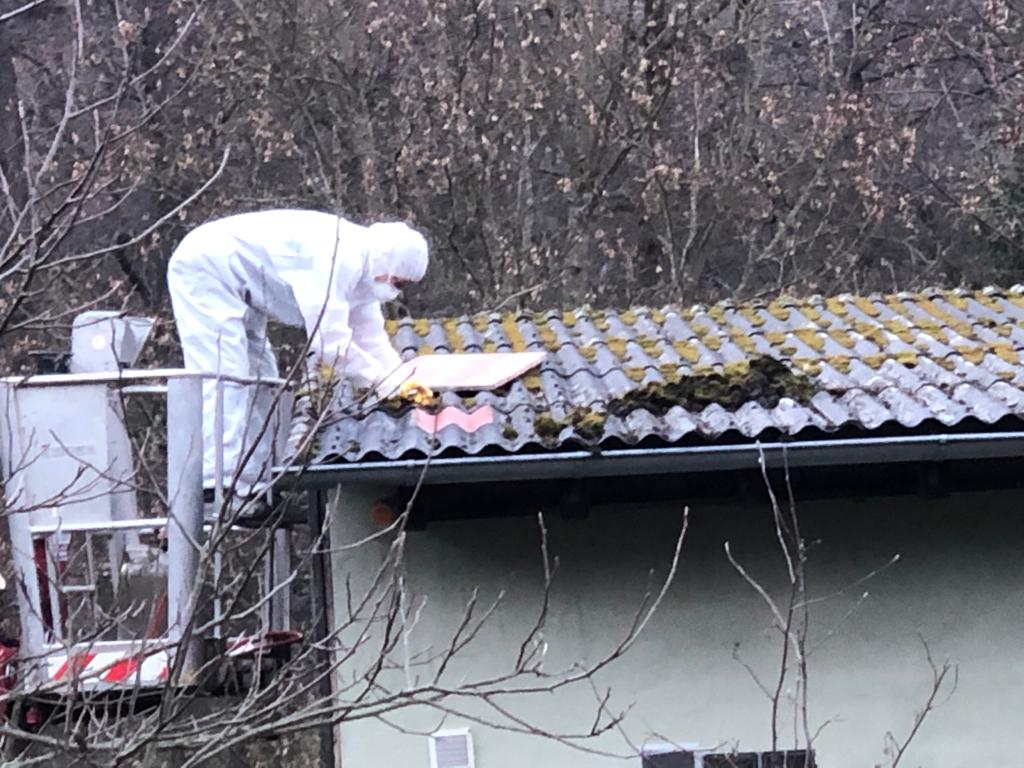 Asbestsanierung auf Dach von Vogelfreunde in Kleinheubach